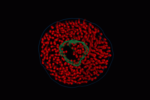 A computational model, based on raw video from electron videography, showing the motion of a nanodisc composed of lipids (red) and a membrane protein (green) in water.

GIF courtesy of John W. Smith
